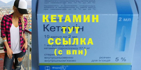 хмурый Болотное