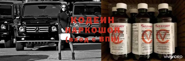 хмурый Болотное
