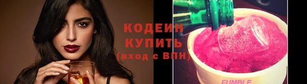 хмурый Болотное