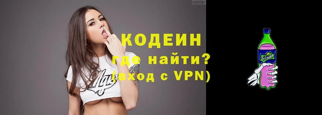 хмурый Болотное
