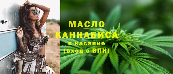 хмурый Болотное