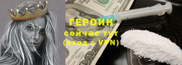 хмурый Болотное