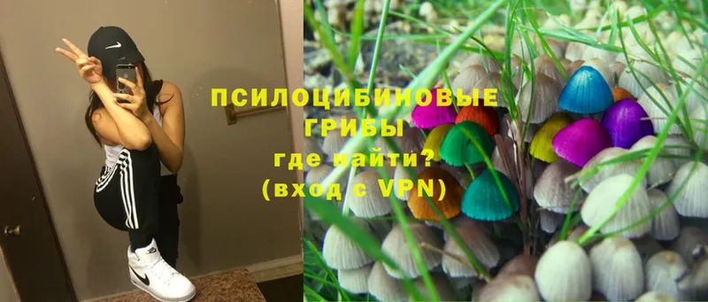 Псилоцибиновые грибы Psilocybine cubensis  Льгов 