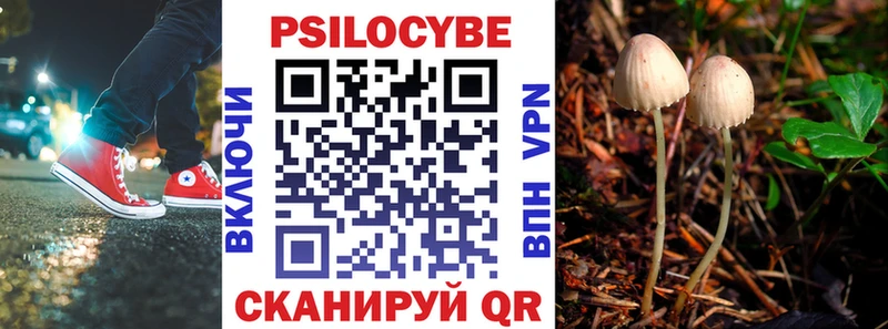 Галлюциногенные грибы GOLDEN TEACHER  продажа наркотиков  Льгов 